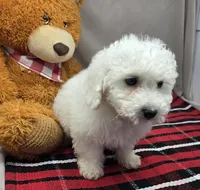 processed/03c23cfd-7357-4450-a9f0-8e1e43f6b93c/listing/0b63403d-eb38-4f0b-a43e-d20e37f70603/ed405f15-b2ba-4d75-ba12-2cddb204ddc4