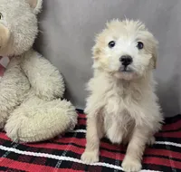 processed/03c23cfd-7357-4450-a9f0-8e1e43f6b93c/listing/141fcdd9-ac3d-434a-8088-39d0b83a14fd/7e5bec6f-2813-49ee-b685-502595ac437c