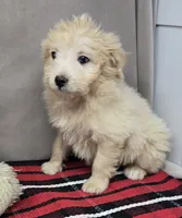 processed/03c23cfd-7357-4450-a9f0-8e1e43f6b93c/listing/141fcdd9-ac3d-434a-8088-39d0b83a14fd/a88c4252-46ca-4592-b982-734e78657449