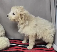 processed/03c23cfd-7357-4450-a9f0-8e1e43f6b93c/listing/141fcdd9-ac3d-434a-8088-39d0b83a14fd/d80b3932-3b8b-4f60-9efa-722eb5a96b34