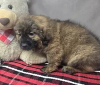 processed/03c23cfd-7357-4450-a9f0-8e1e43f6b93c/listing/44206107-b537-42ba-b2d9-1cda49756dbe/7502a6a5-f4c3-4382-9287-bceba7d4c84d