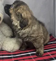 processed/03c23cfd-7357-4450-a9f0-8e1e43f6b93c/listing/44206107-b537-42ba-b2d9-1cda49756dbe/98a6560e-9457-49b7-b218-8a650633d995