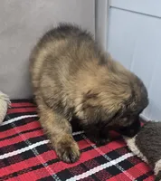 processed/03c23cfd-7357-4450-a9f0-8e1e43f6b93c/listing/44206107-b537-42ba-b2d9-1cda49756dbe/98b65fc5-d1d4-4ce9-af4b-482d2a97d460