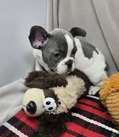 processed/03c23cfd-7357-4450-a9f0-8e1e43f6b93c/listing/590d8b16-79a2-4131-898c-e166acc94563/d6d631ee-9f2c-4877-9c94-dfa8d45ba9b5