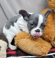 processed/03c23cfd-7357-4450-a9f0-8e1e43f6b93c/listing/590d8b16-79a2-4131-898c-e166acc94563/e8e52a4f-ad55-4cdf-beeb-af919b4d9d3e