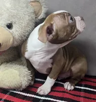 processed/03c23cfd-7357-4450-a9f0-8e1e43f6b93c/listing/b4b3f2cf-a5eb-417a-b2fa-c15f3ef9ef0f/29970a1a-8aaf-46f7-aaf0-89854d3ffa6c