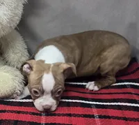 processed/03c23cfd-7357-4450-a9f0-8e1e43f6b93c/listing/b4b3f2cf-a5eb-417a-b2fa-c15f3ef9ef0f/6e62d743-d1fd-475b-bb45-e04e4ef3c795