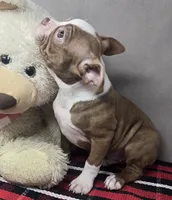 processed/03c23cfd-7357-4450-a9f0-8e1e43f6b93c/listing/b4b3f2cf-a5eb-417a-b2fa-c15f3ef9ef0f/c187e540-c576-4952-87e4-ae53e62d6780