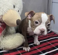 processed/03c23cfd-7357-4450-a9f0-8e1e43f6b93c/listing/b4b3f2cf-a5eb-417a-b2fa-c15f3ef9ef0f/cf4ee541-a984-48c2-b5c9-b3a63ec41d84