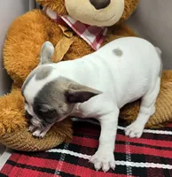 processed/03c23cfd-7357-4450-a9f0-8e1e43f6b93c/listing/e7031f96-0154-4031-a333-daa15559081f/1ae86d27-5781-4d1f-83b1-2cabe10a3eff