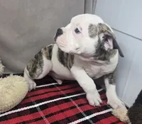 processed/03c23cfd-7357-4450-a9f0-8e1e43f6b93c/listing/f2bcd475-0883-48f0-835f-cd6f7a124bdb/bdf4998b-8ecf-425d-8deb-6b3119563276