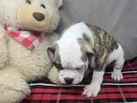 processed/03c23cfd-7357-4450-a9f0-8e1e43f6b93c/listing/f2bcd475-0883-48f0-835f-cd6f7a124bdb/e16ea5c3-7634-4f9a-9adb-a29cb9deb8ca