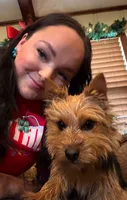 Frizzbee, a male Norwich Terrier for sale in Groesbeck, TX – 8 of 8