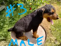 processed/03cec656-2c93-454c-8307-3cc143e9f16c/listing/0557bd51-1f85-4033-be7f-f97b8c77329f/0dff5dd5-5c06-440c-8e34-55f458f9c7ec