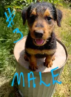 processed/03cec656-2c93-454c-8307-3cc143e9f16c/listing/0557bd51-1f85-4033-be7f-f97b8c77329f/6c612aa8-2f6c-4851-a3dc-c8ec0350e3fa