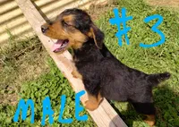 processed/03cec656-2c93-454c-8307-3cc143e9f16c/listing/0557bd51-1f85-4033-be7f-f97b8c77329f/fbe449a3-9a86-40da-8852-d2919ee341f6