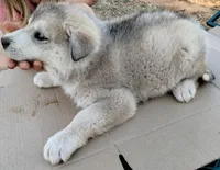 processed/03cec656-2c93-454c-8307-3cc143e9f16c/listing/c3a6f6be-75d4-46a0-8fb1-f7b87c24dab4/fa5c0a14-5fc0-462b-b5f4-f9da21ac7a31