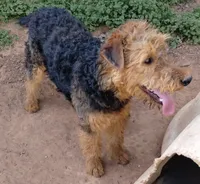 processed/03cec656-2c93-454c-8307-3cc143e9f16c/listing/e6bedc67-c264-4f02-b2be-6fd05aead1fa/5d7e2a29-87c1-4d96-a606-5392eda45353