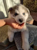 processed/03cec656-2c93-454c-8307-3cc143e9f16c/listing/e92681ba-2189-49bb-b010-c4873d04de90/bfd6fb30-c9b3-4345-be81-59df6027d274