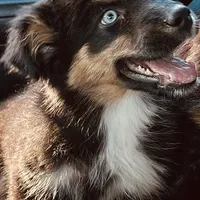 processed/03d0ae8e-4933-4b74-95ab-0428bc95301b/facility/0021e455-5fee-4a05-ab5c-1319da725fba