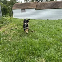 processed/03d0ae8e-4933-4b74-95ab-0428bc95301b/facility/1094d1b8-ec23-4b50-95f5-1163346084a8