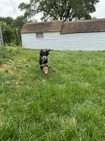 processed/03d0ae8e-4933-4b74-95ab-0428bc95301b/facility/1094d1b8-ec23-4b50-95f5-1163346084a8