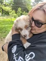 processed/03d0ae8e-4933-4b74-95ab-0428bc95301b/facility/142c7553-1d55-45d2-bf19-817f0c97d770