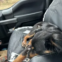 processed/03d0ae8e-4933-4b74-95ab-0428bc95301b/facility/3e952486-dccc-4fca-b52b-416c04e7c43e