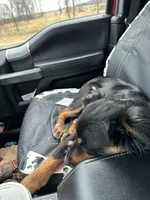 processed/03d0ae8e-4933-4b74-95ab-0428bc95301b/facility/3e952486-dccc-4fca-b52b-416c04e7c43e