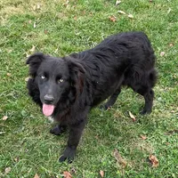 processed/03d0ae8e-4933-4b74-95ab-0428bc95301b/facility/478b7783-d729-4184-a0ba-f1f7bb109525