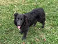 processed/03d0ae8e-4933-4b74-95ab-0428bc95301b/facility/478b7783-d729-4184-a0ba-f1f7bb109525