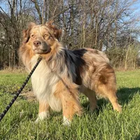 processed/03d0ae8e-4933-4b74-95ab-0428bc95301b/facility/7f2a34b3-545f-4f7b-a4b7-fc0c47576dd6