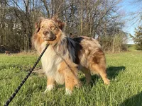 processed/03d0ae8e-4933-4b74-95ab-0428bc95301b/facility/7f2a34b3-545f-4f7b-a4b7-fc0c47576dd6