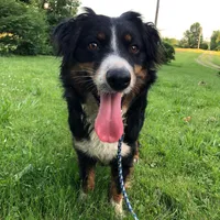 processed/03d0ae8e-4933-4b74-95ab-0428bc95301b/facility/b2998b18-6435-43e4-bcf3-23e5c901fc25