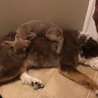 processed/03d0ae8e-4933-4b74-95ab-0428bc95301b/facility/c40d8538-5e1e-4f3f-8454-289b03f7374f