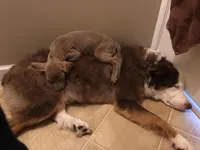 processed/03d0ae8e-4933-4b74-95ab-0428bc95301b/facility/c40d8538-5e1e-4f3f-8454-289b03f7374f