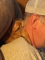 Peanut, a male Dachshund for sale in Monona, IA – 10 of 10