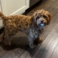 processed/03e9f551-54de-48cd-9003-f5a7c2f49a21/facility/2fc819dc-1870-42c5-bcd1-6b521b03bc2d