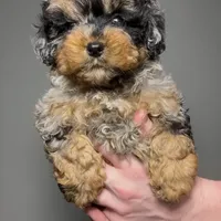 processed/03e9f551-54de-48cd-9003-f5a7c2f49a21/facility/8c31df16-d36d-4838-91fd-e1f9fd052b80