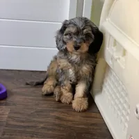 processed/03e9f551-54de-48cd-9003-f5a7c2f49a21/facility/9a7962e2-683b-497a-9b01-ef8b35777d26