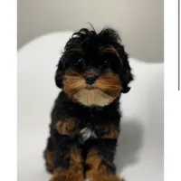 processed/03e9f551-54de-48cd-9003-f5a7c2f49a21/facility/a07770e1-bf0c-4a6b-9cfa-461a99156ef5