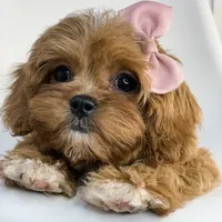 processed/03e9f551-54de-48cd-9003-f5a7c2f49a21/facility/a3d5e593-1273-4906-abb5-888e5b9ca673