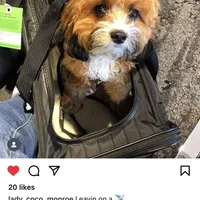 processed/03e9f551-54de-48cd-9003-f5a7c2f49a21/facility/ad73e050-3722-4b55-a9e6-c9db4b987e3a