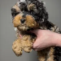 processed/03e9f551-54de-48cd-9003-f5a7c2f49a21/facility/fa18f225-c7c0-4df5-91bb-8a4b73c6963d