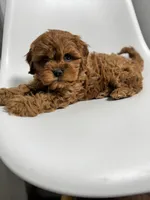 processed/03e9f551-54de-48cd-9003-f5a7c2f49a21/listing/38713d3c-2f38-4f99-ab67-53f20266e23b/4379314b-4f16-4bd3-be16-26d823ec7c8e