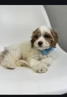 processed/03e9f551-54de-48cd-9003-f5a7c2f49a21/listing/57826d84-d033-4e8b-bcbd-7801a1287aa0/1f6d92ad-4e2d-435d-88f7-b7375f8bbeec