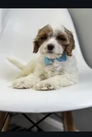 processed/03e9f551-54de-48cd-9003-f5a7c2f49a21/listing/57826d84-d033-4e8b-bcbd-7801a1287aa0/32d04054-1f23-4c81-a063-b076f9d7a04e