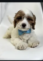 processed/03e9f551-54de-48cd-9003-f5a7c2f49a21/listing/57826d84-d033-4e8b-bcbd-7801a1287aa0/3ea59758-bd52-4143-87d8-cffaadf47ae6