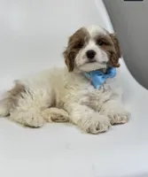 processed/03e9f551-54de-48cd-9003-f5a7c2f49a21/listing/57826d84-d033-4e8b-bcbd-7801a1287aa0/6c9eb764-eea2-45a5-bd26-ee2324361a78