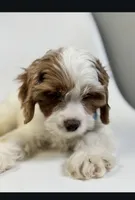 processed/03e9f551-54de-48cd-9003-f5a7c2f49a21/listing/57826d84-d033-4e8b-bcbd-7801a1287aa0/9d58a318-1c26-4f28-b1d4-0cdb92774817